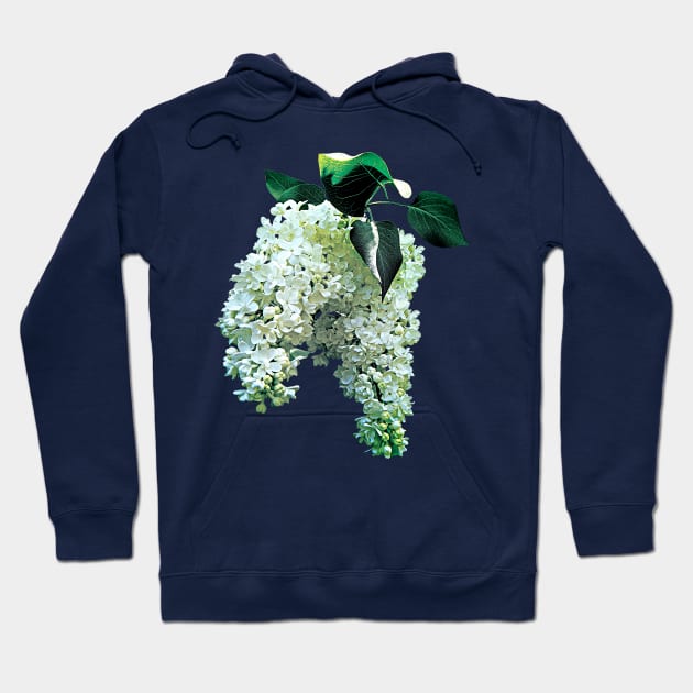 Lilacs - White Lilacs Hoodie by SusanSavad